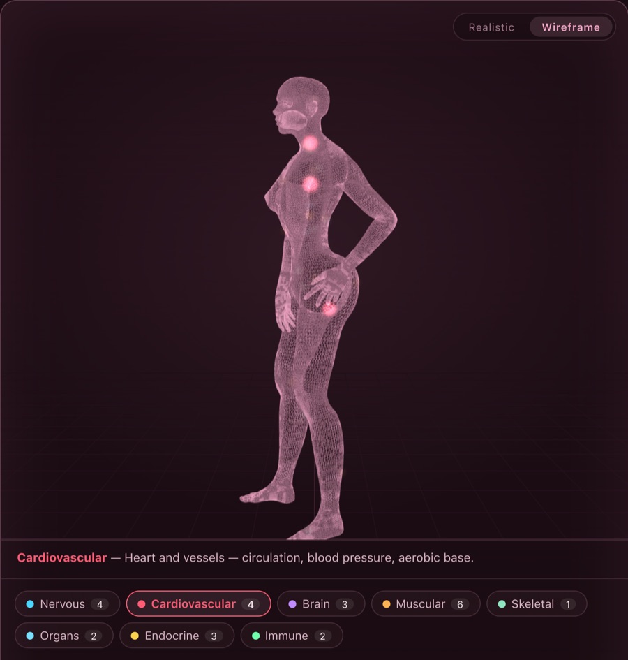 The Corpus 3D body in wireframe mode with the cardiovascular system lit up, above the eight body-system chips.